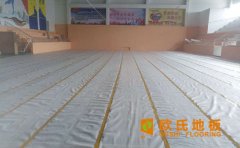 中國(guó)體育運(yùn)動(dòng)木地板行業(yè)協(xié)會(huì)計(jì)劃書