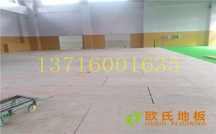 江蘇鹽城西環路小學體育館木地板案例—歐氏運動木地板廠家