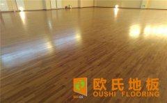 楓樺木運動木地板價格