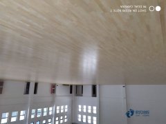 室內(nèi)運(yùn)動(dòng)木地板的選擇標(biāo)準(zhǔn)