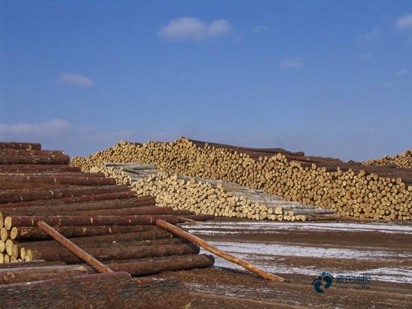 福建室內(nèi)運(yùn)動木地板前十